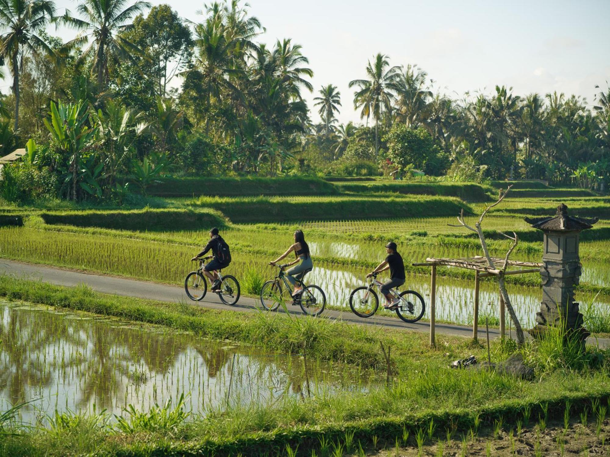 Nandini Jungle By Hanging Gardens Ubud Esterno foto